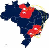 mapinha